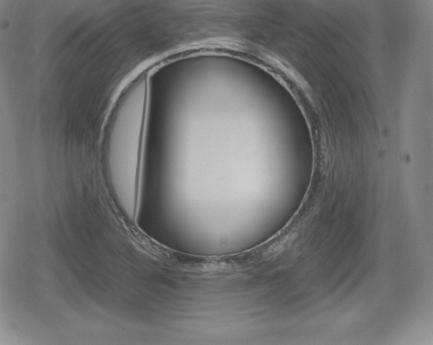X0000080161316200612081017