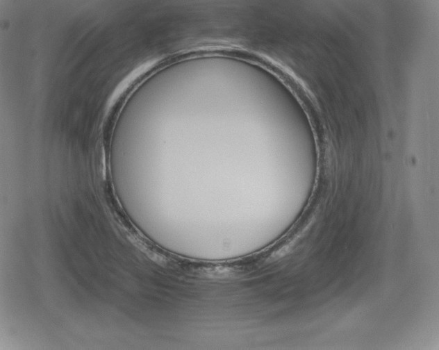 X0000080161317200612081017