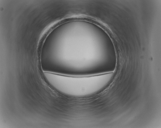 X0000080161319200612081017