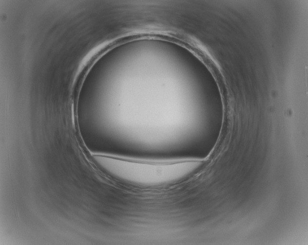 X0000080161320200612081017