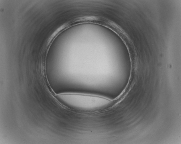 X0000080161321200612081017