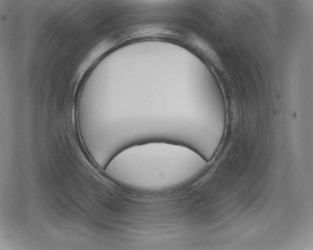 X0000080161322200612081017