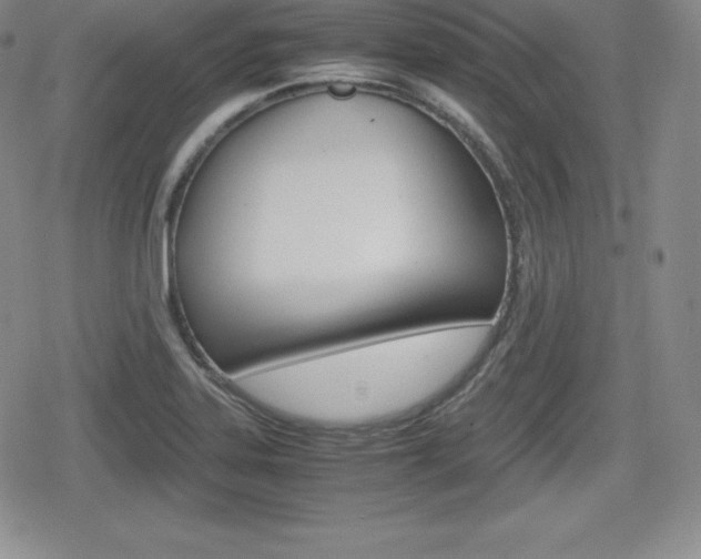 X0000080161323200612081017