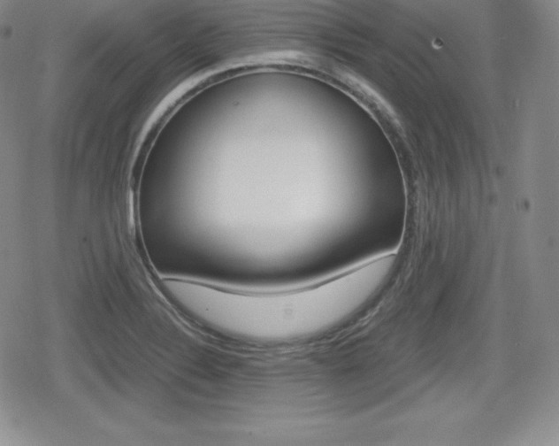 X0000080161324200612081017