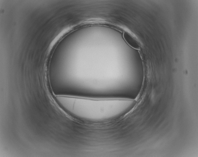X0000080161325200612081017