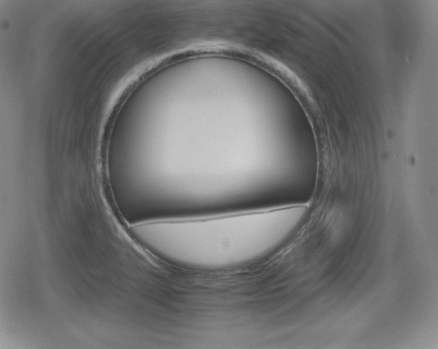 X0000080161327200612081017