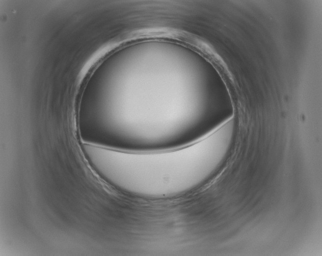 X0000080161328200612081017