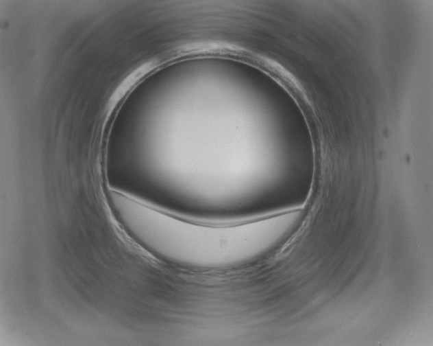 X0000080161330200612081017