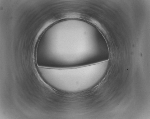 X0000080161331200612081017
