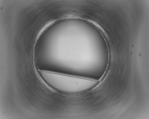 X0000080161333200612081017