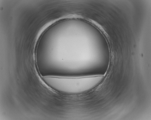 X0000080161335200612081018