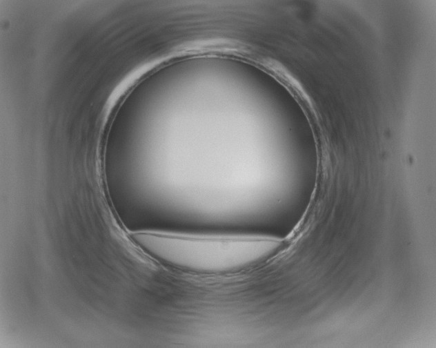X0000080161336200612081018