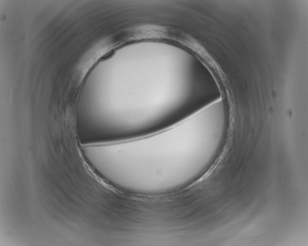 X0000080161337200612081018