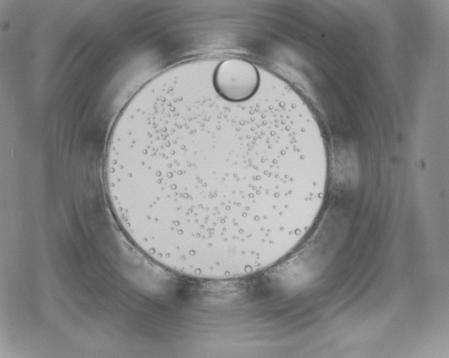 X0000080161338200612081018
