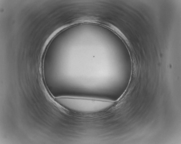 X0000080161339200612081018