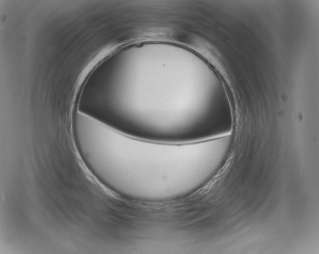 X0000080161341200612081018