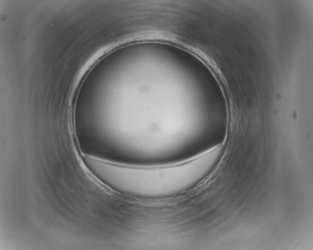 X0000080161342200612081018