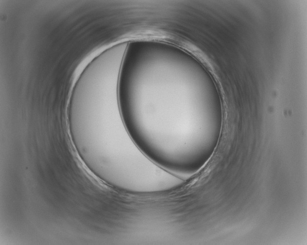 X0000080161344200612081018