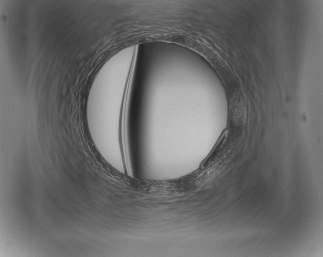 X0000080161345200612081017