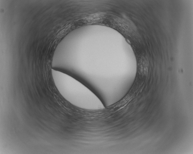 X0000080161346200612081017