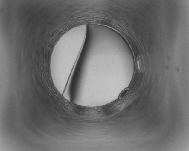X0000080161347200612081017