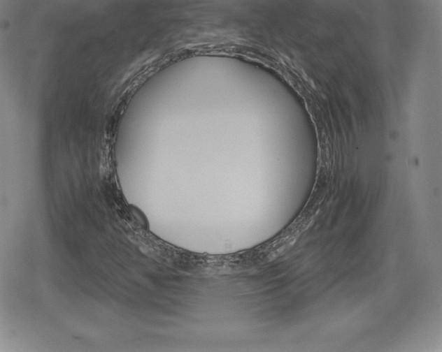 X0000080161350200612081017