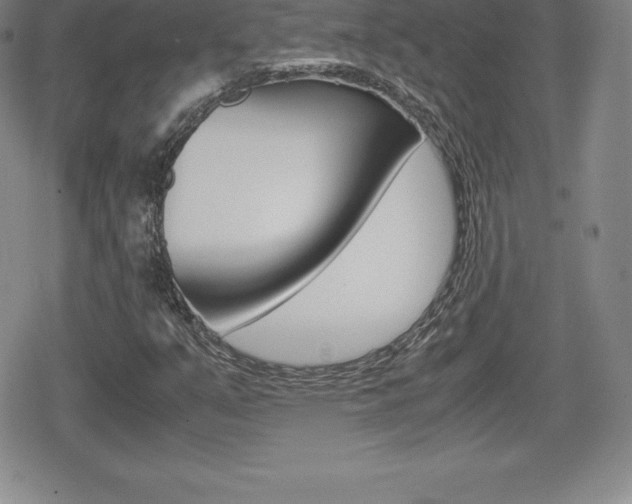 X0000080161351200612081017