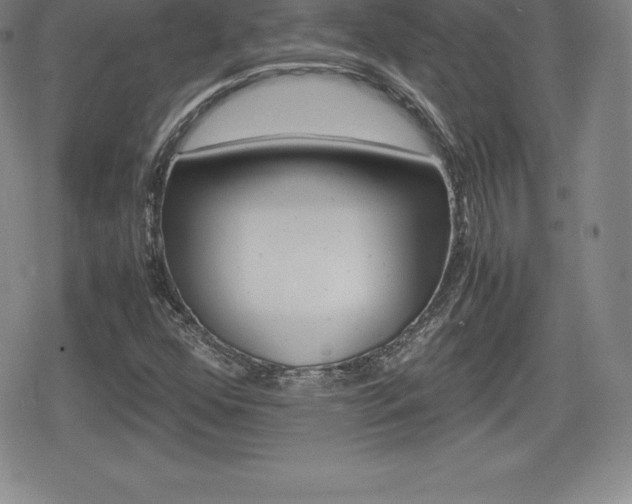 X0000080161352200612081017