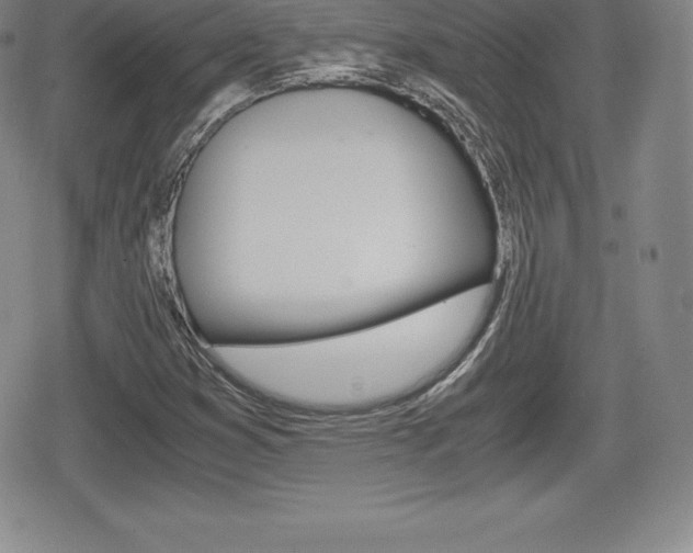 X0000080161353200612081017