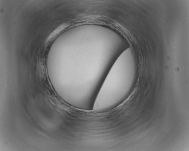 X0000080161354200612081017