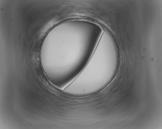 X0000080161355200612081017