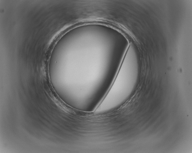 X0000080161356200612081017