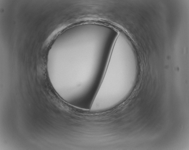 X0000080161359200612081017