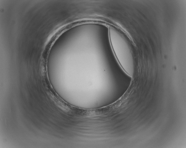 X0000080161360200612081017