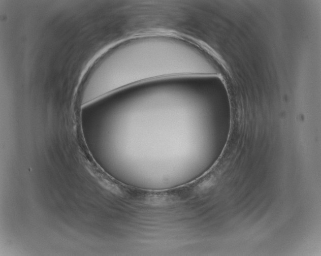 X0000080161364200612081017