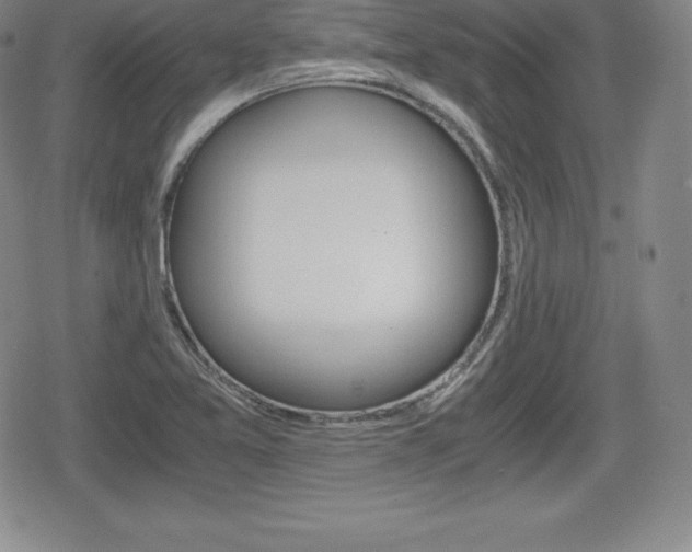 X0000080161365200612081017