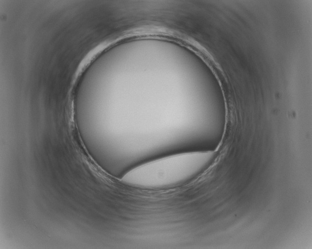 X0000080161366200612081017