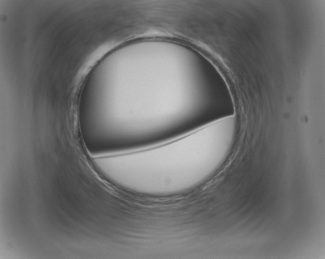 X0000080161367200612081017