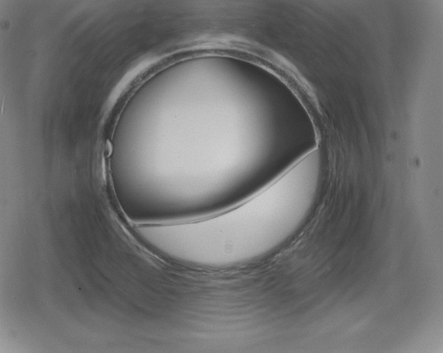 X0000080161368200612081017