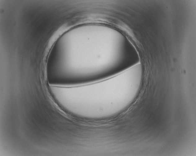 X0000080161371200612081016