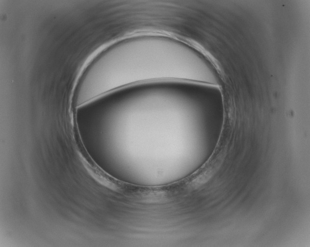 X0000080161372200612081016