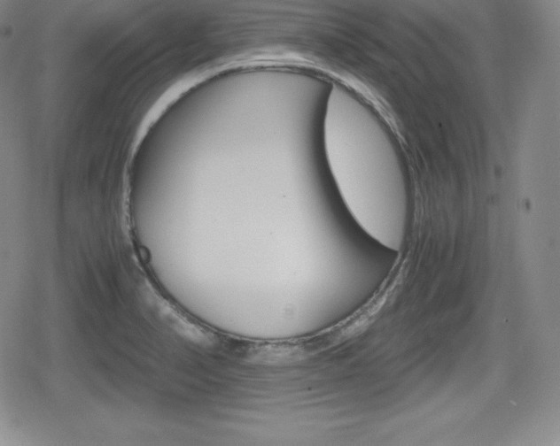 X0000080161374200612081016