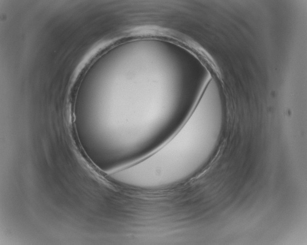 X0000080161376200612081016