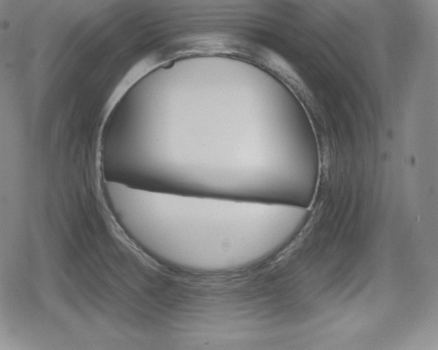 X0000080161378200612081016