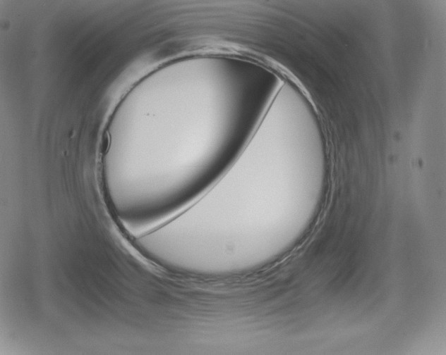X0000080161379200612081016