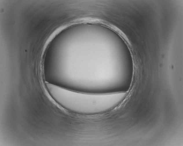 X0000080161381200612081016