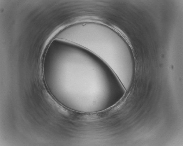 X0000080161384200612081016