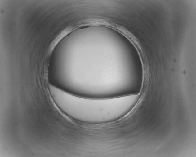 X0000080161385200612081016