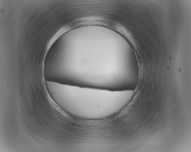 X0000080161386200612081016