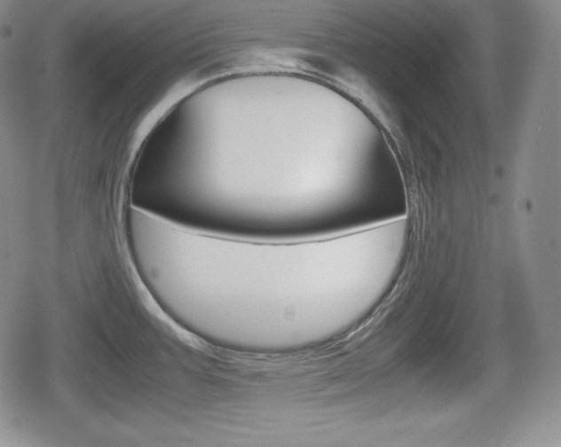 X0000080161387200612081016